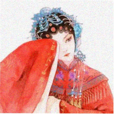 东流影视撰稿人白露头像